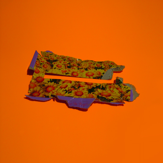 orange flowers, empty packages series, by Naomi Pitcairn