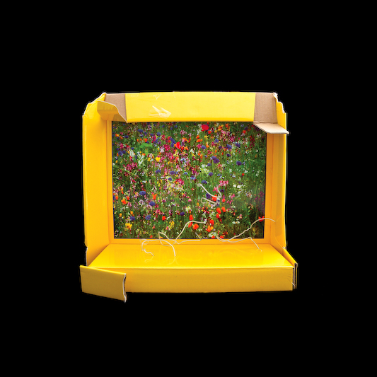 yellow flower box, empty packages series, by Naomi Pitcairn