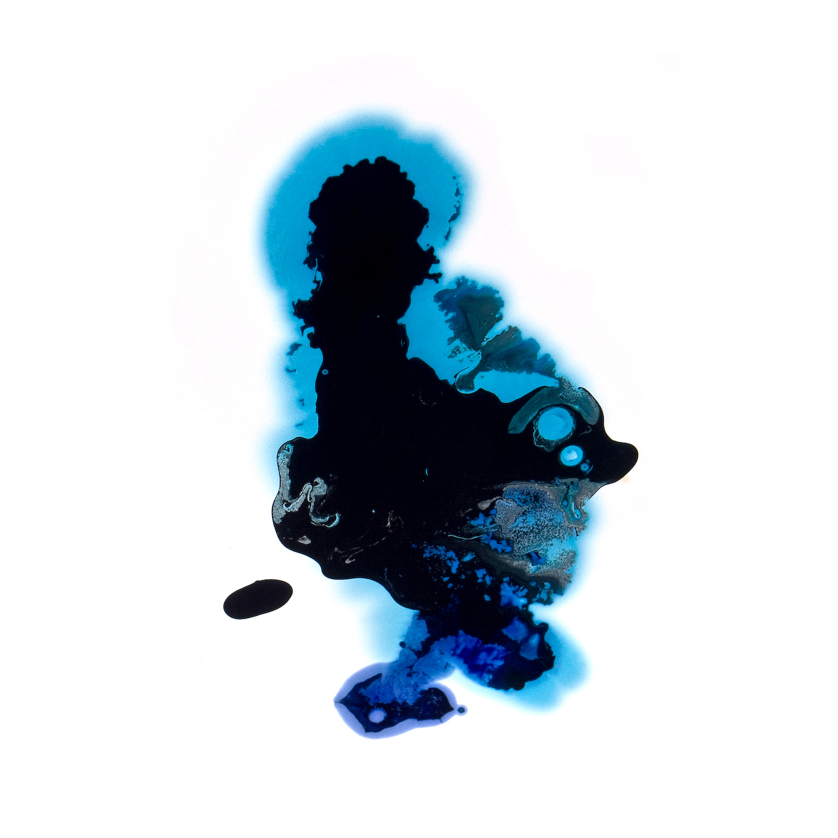 black n blue, poured paint series, by Naomi Pitcairn