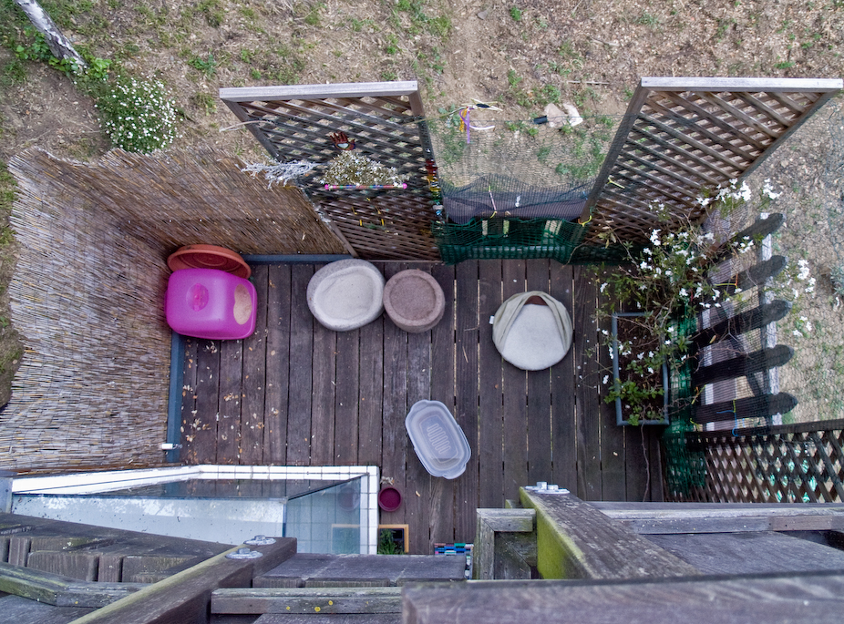 rainbow deck from above, the schnitzle mystery house series, by Naomi Pitcairn