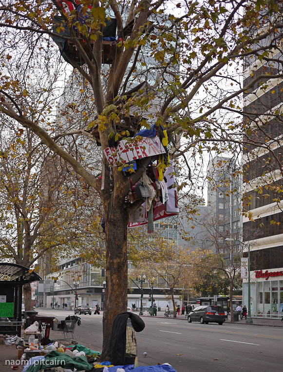 Tree Sitter