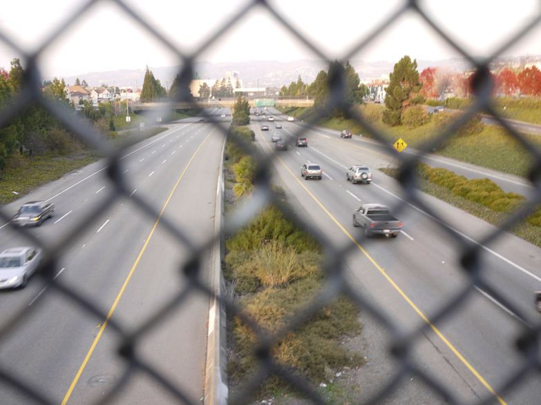 crossing the highway